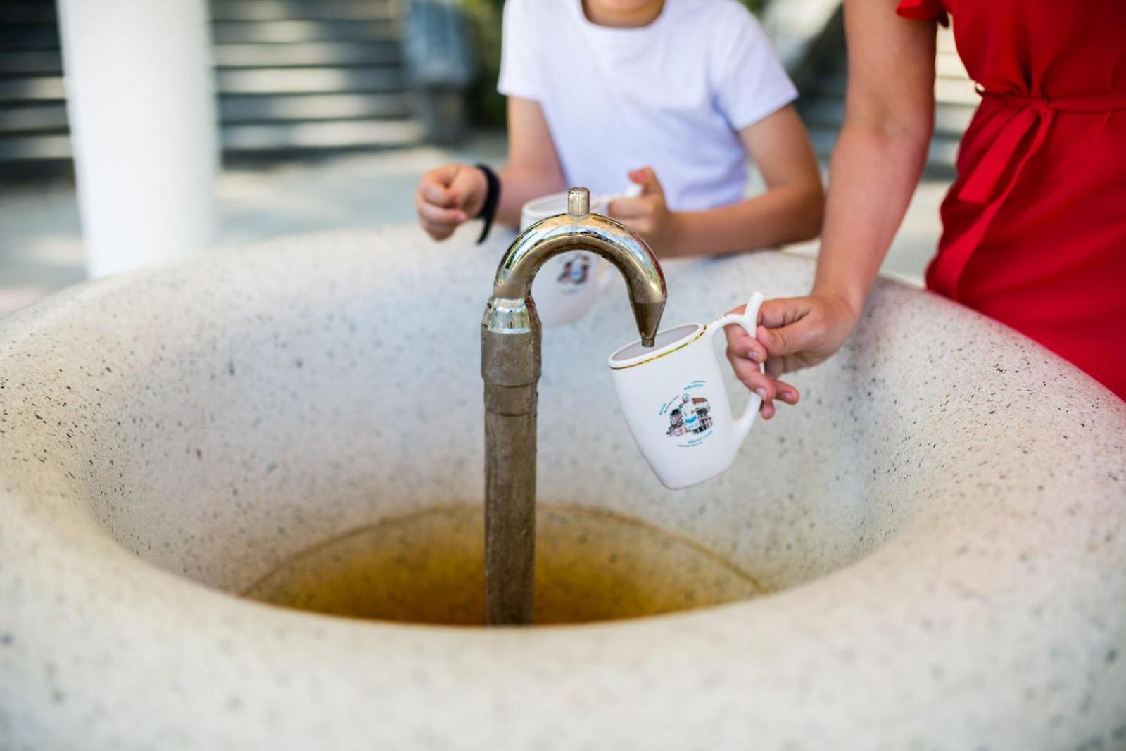 Luxury Spa & Wellness Vila Valaska Luhačovice Eksteriør bilde